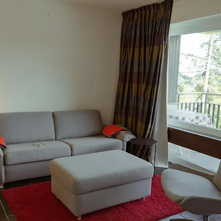 Cosy In Crans-Montana